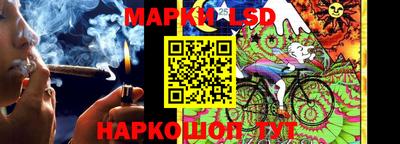стафф Кимры