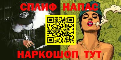 индика Кингисепп