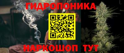индика Кингисепп