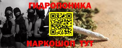 стафф Кимры