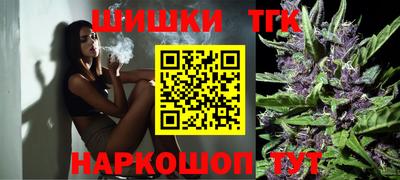 индика Кингисепп