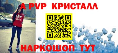 индика Кингисепп